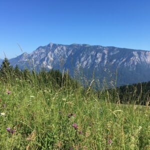 Steilhang_Richtung_Dobratsch