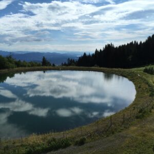 Teich_Richtung_Villach