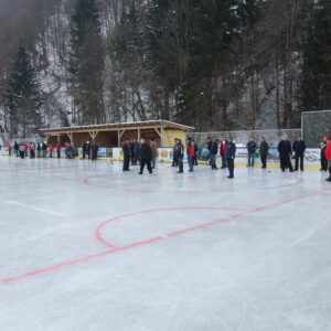EV-Waldsiedlung-Kaerntnerstock_30.01.2011_003